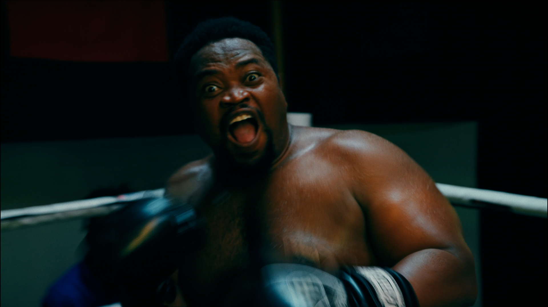 Old Mutual - The Bout, Stills, 2025
