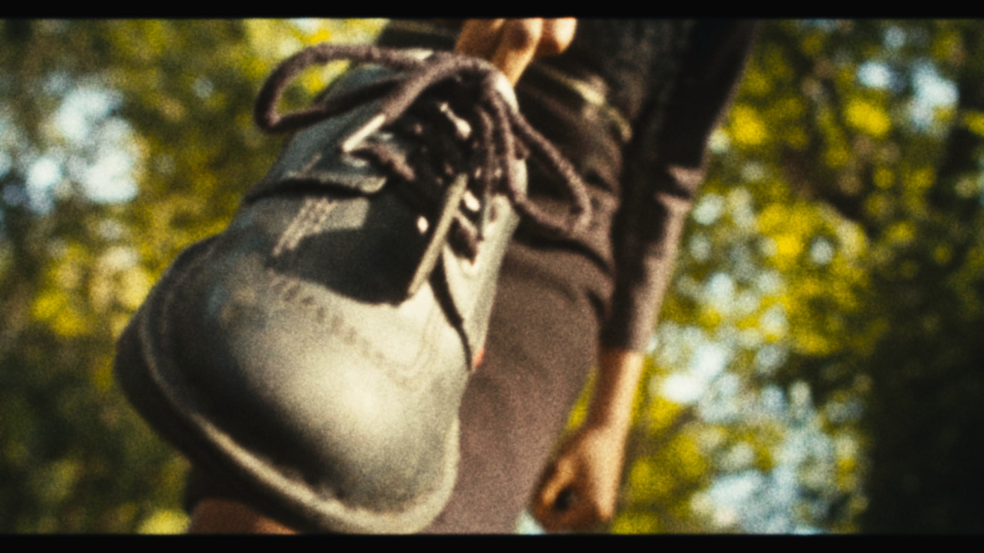Pain Of Loss, Stills, 2024