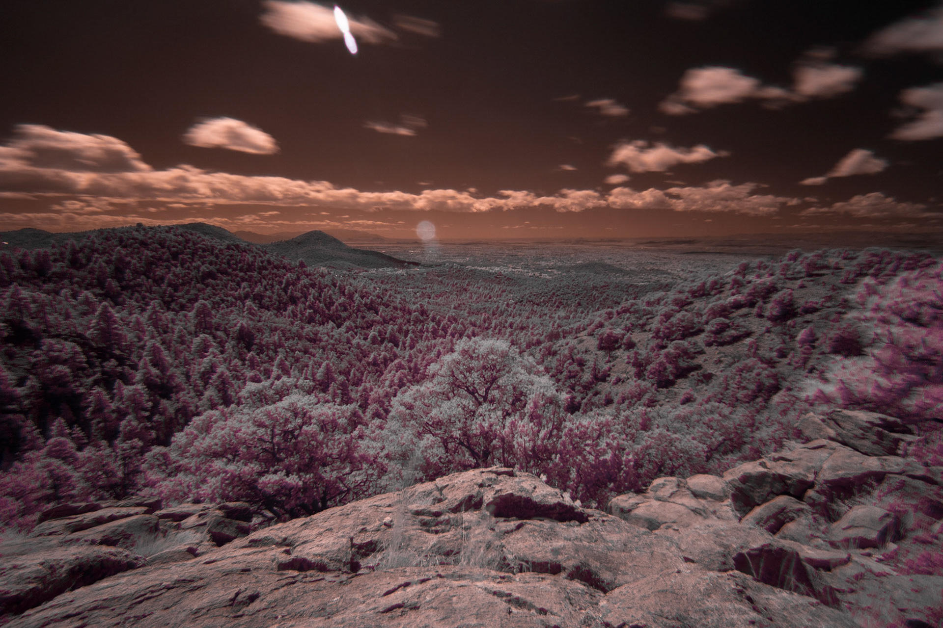 Digital Near Infrared Photography