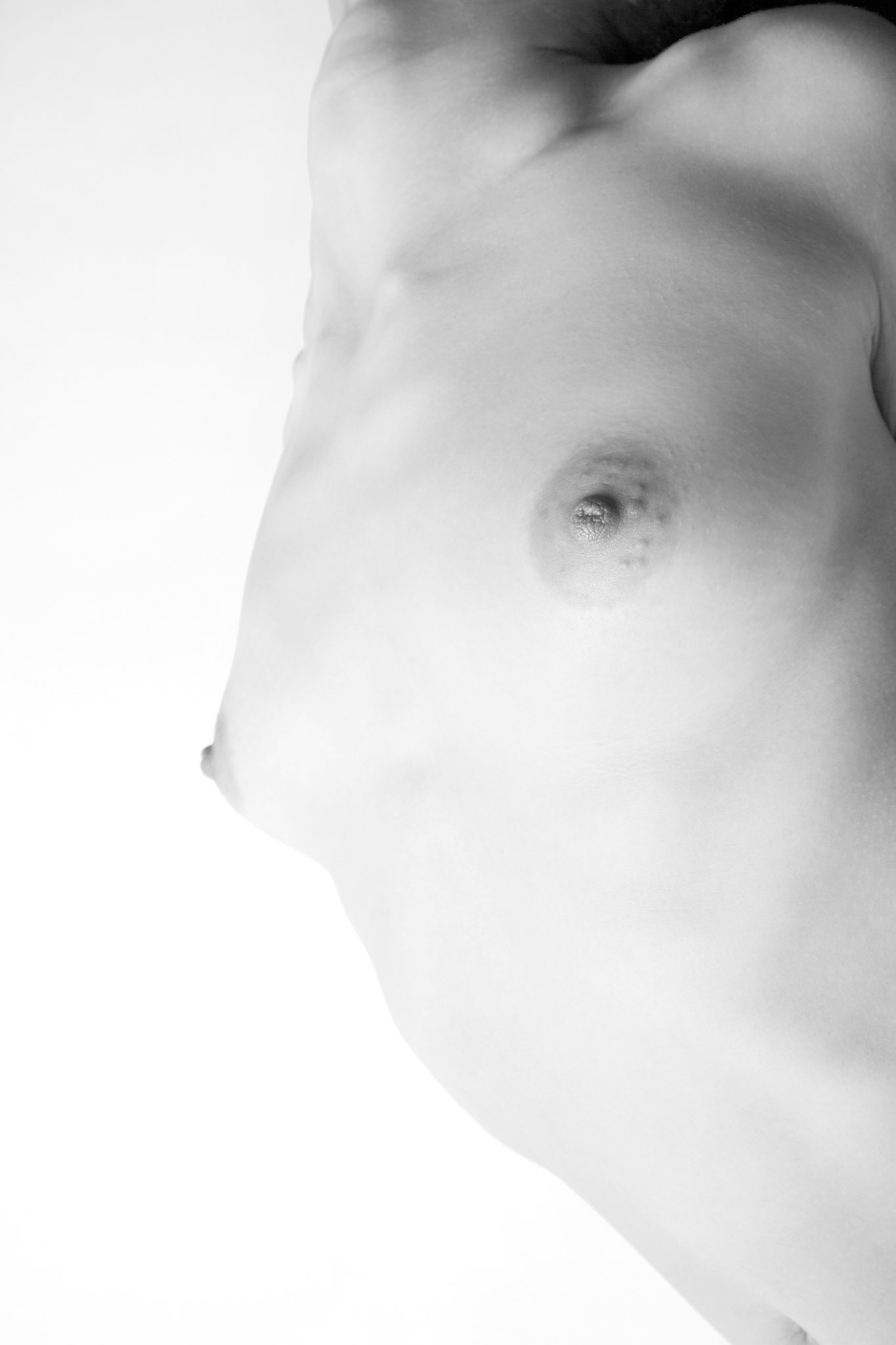 Body's art - sintesi