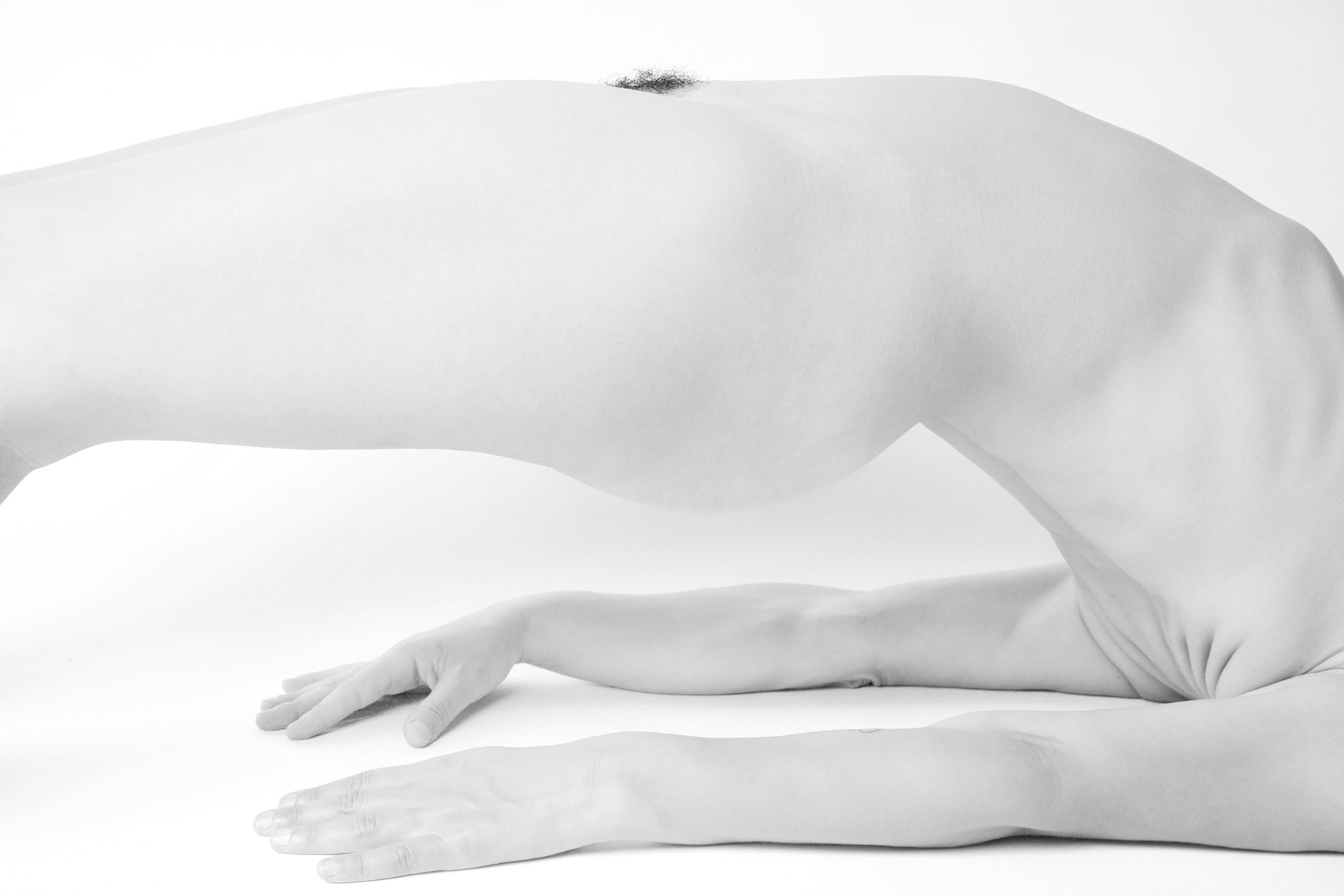 Body's art - forza