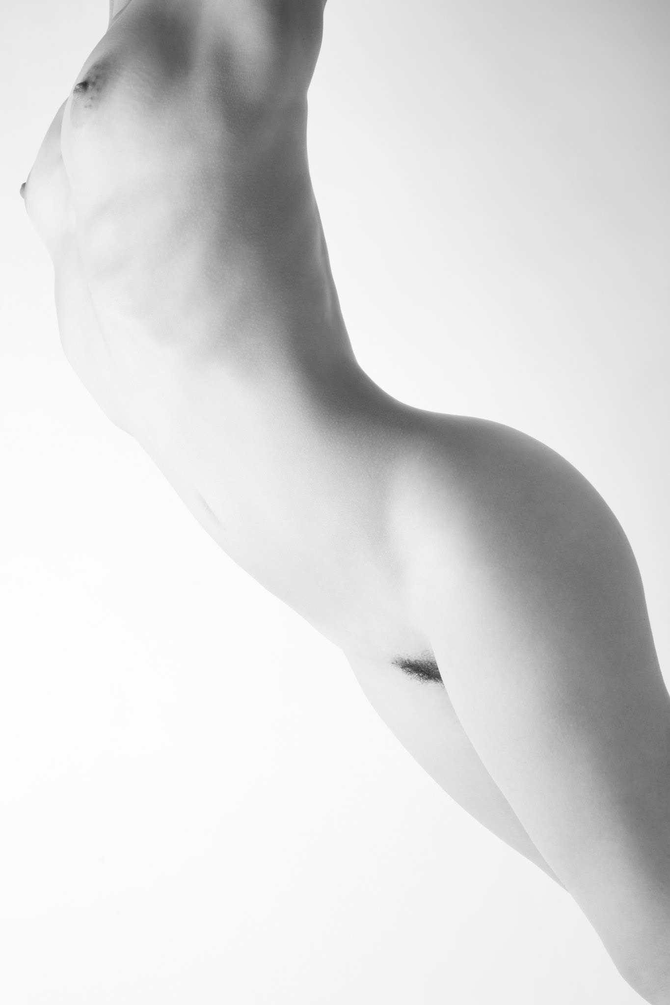Body's shape - sinuosità