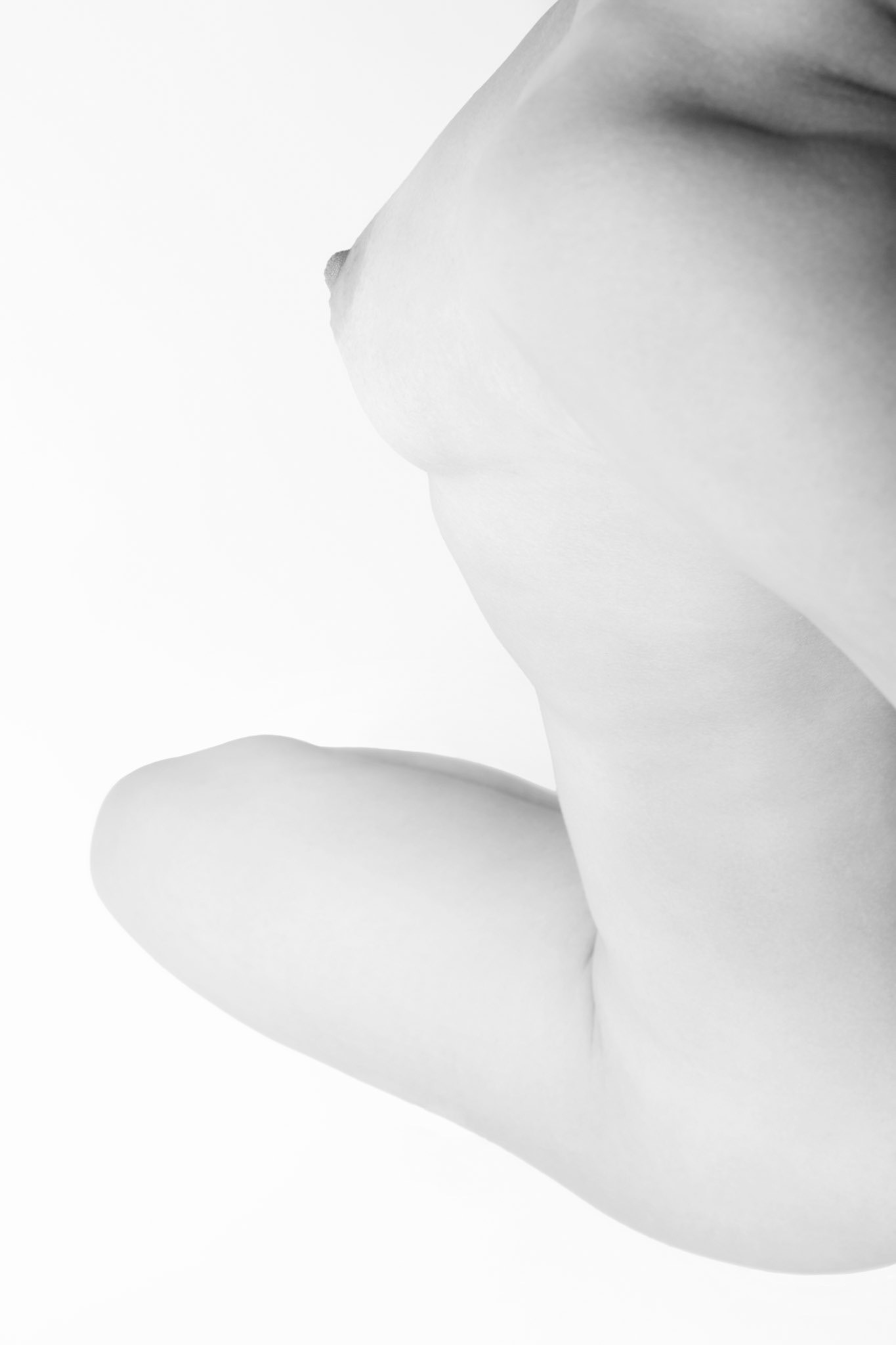 Body's art - forma