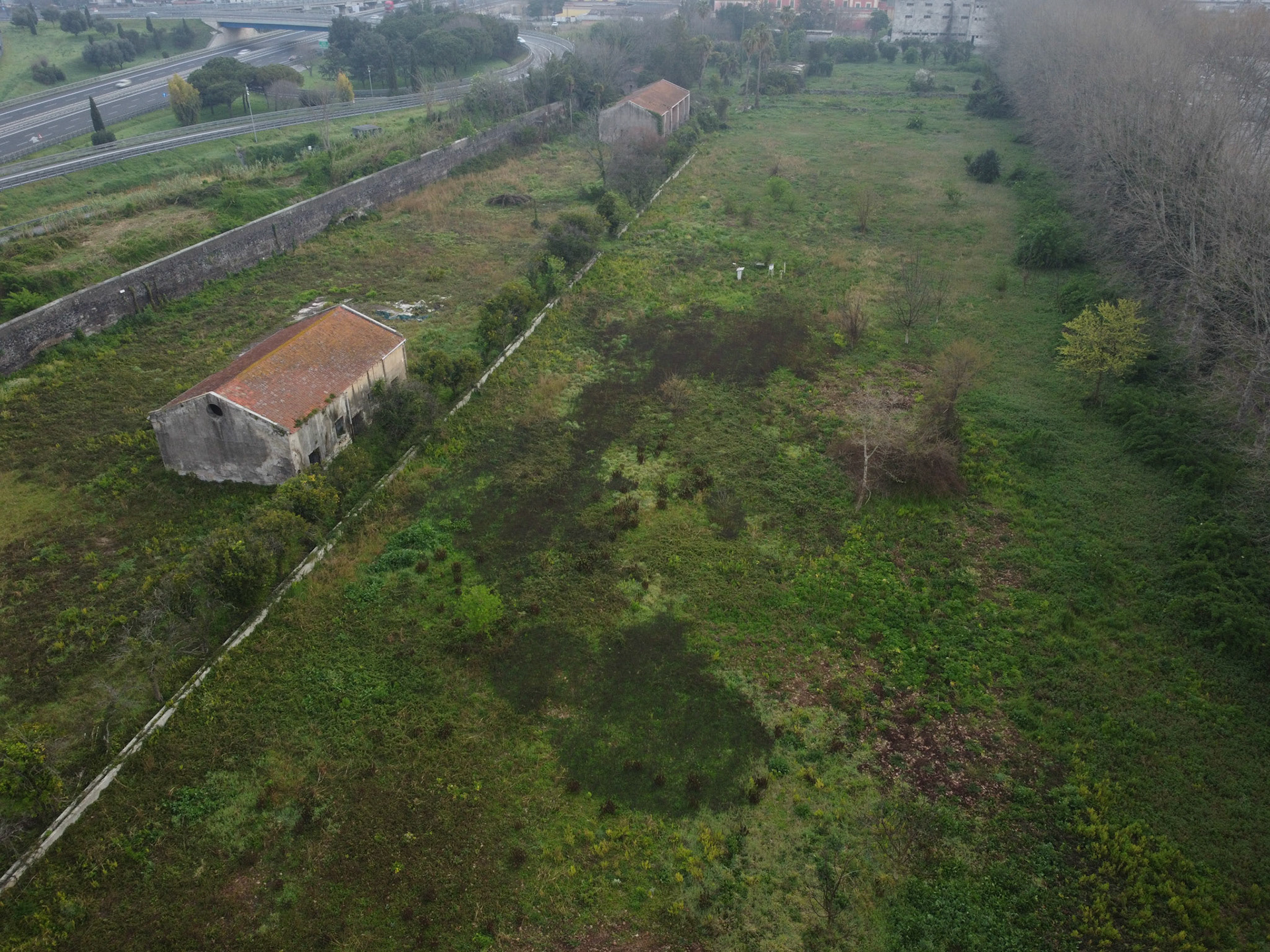 DCIM\100MEDIA\DJI_0317.JPG