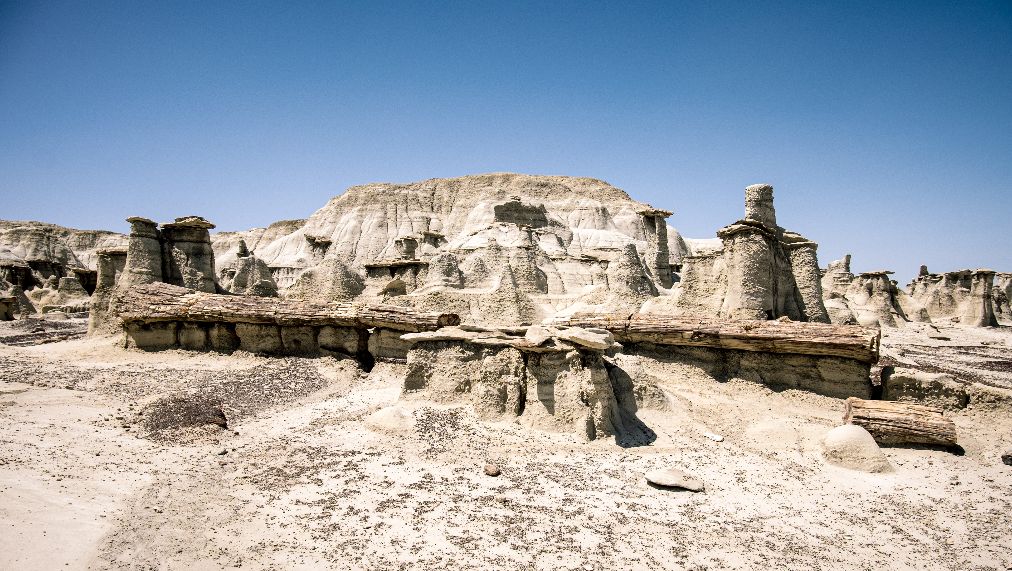 Bisti Badlands