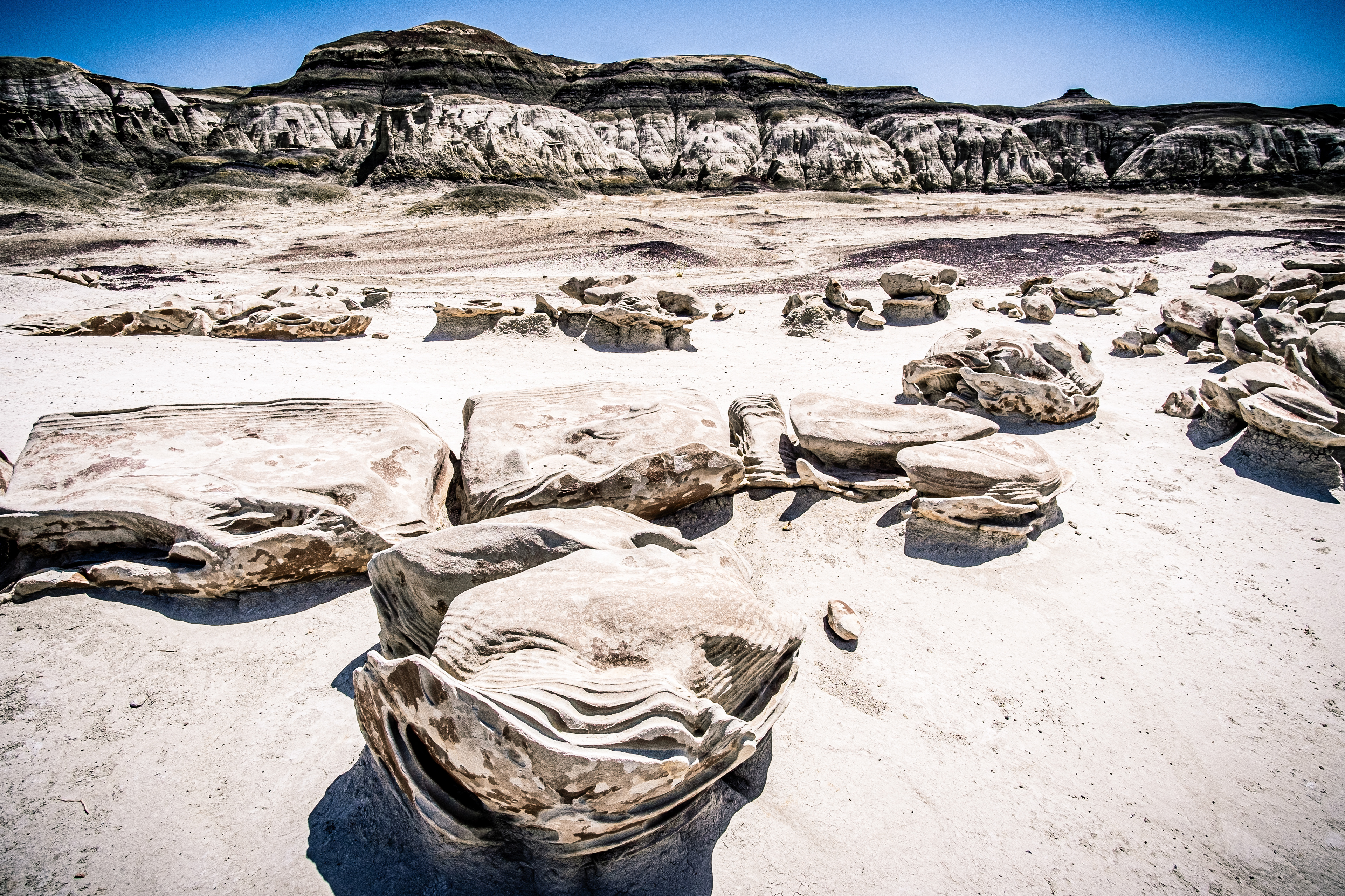 Bisti Badlands