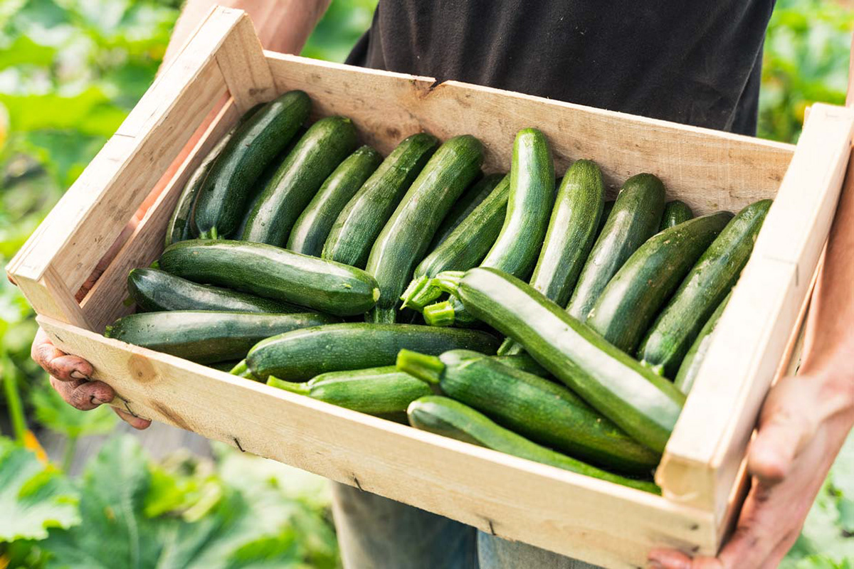 Légumes
