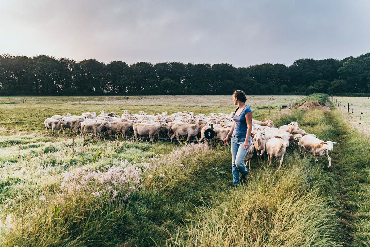 Agriculture biologique, Côtes d'Armor