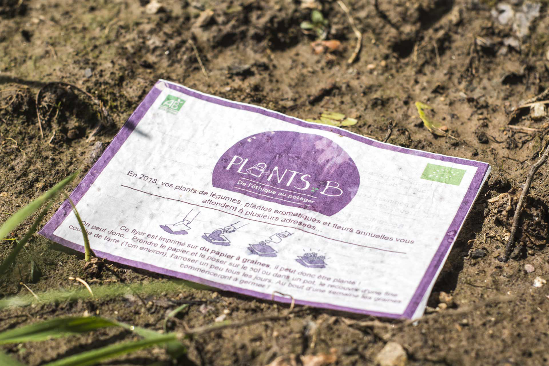 Mise en page Logotype Plan B / Photographie par La Lanterne