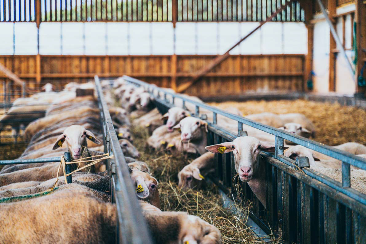 Agriculture biologique, Côtes d'Armor
