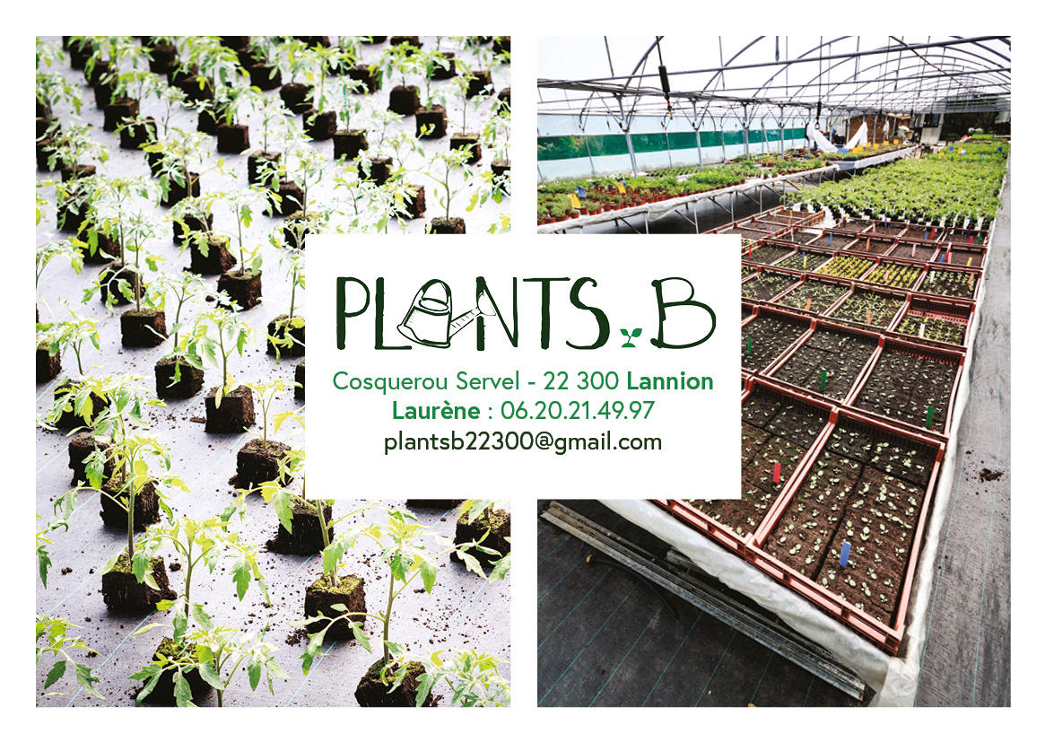 Mise en page Logotype Plan B / Photographie par La Lanterne