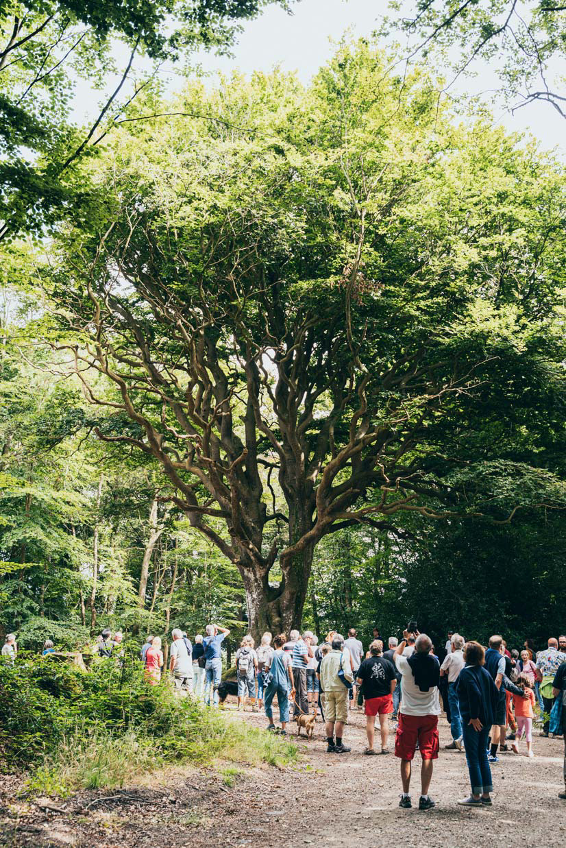 Léguer en fête, La Lanterne