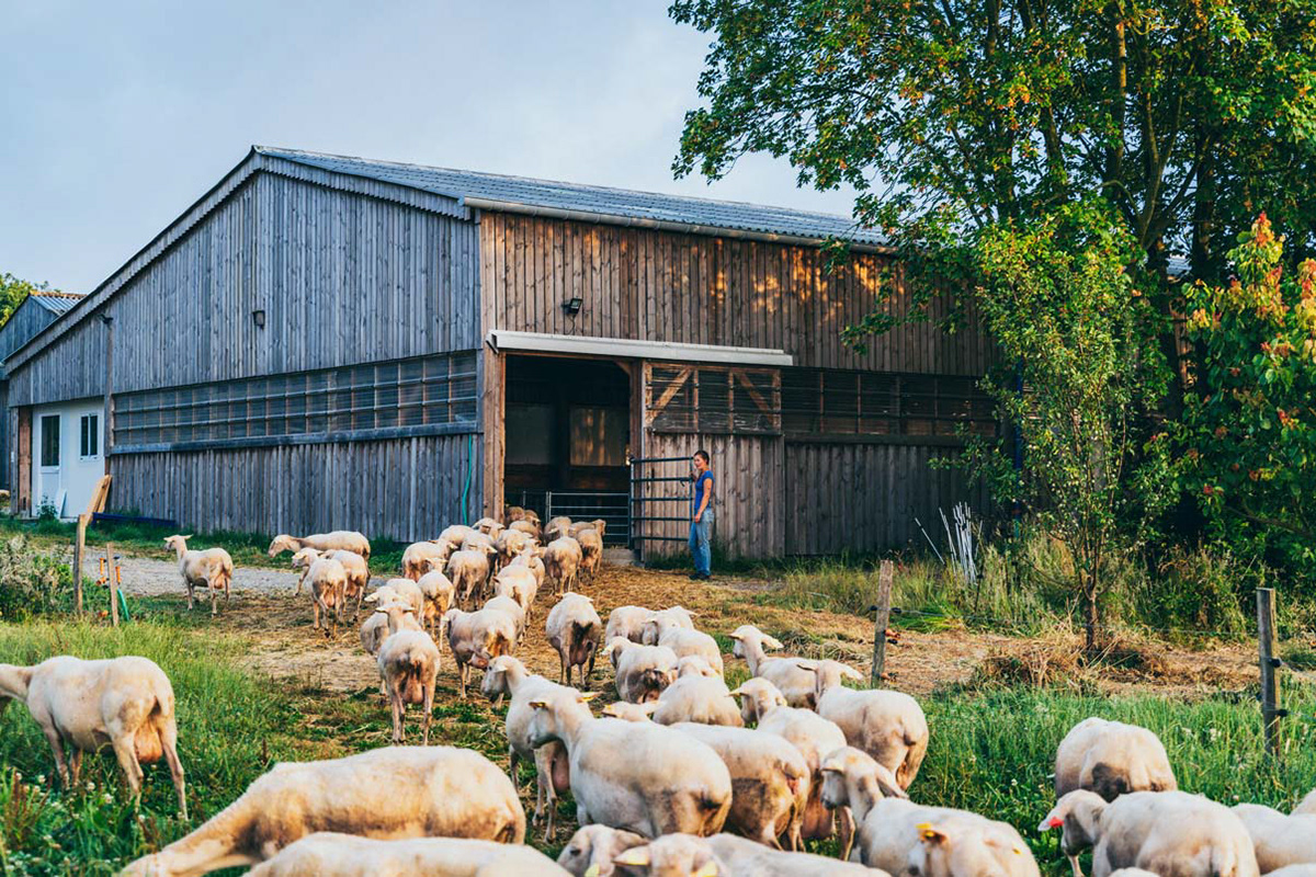 Agriculture biologique, Côtes d'Armor