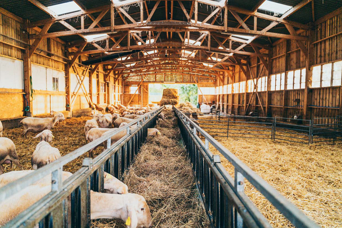 Agriculture biologique, Côtes d'Armor