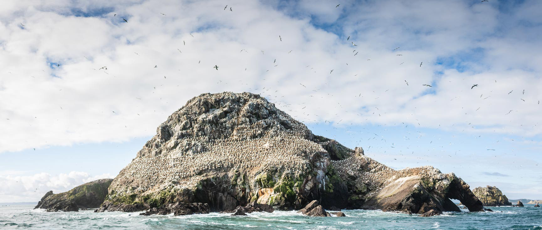 Perros-Guirec - Reportage photo sur les sept îles avec la LPO de l’île Grande à Pleumeur-Bodou