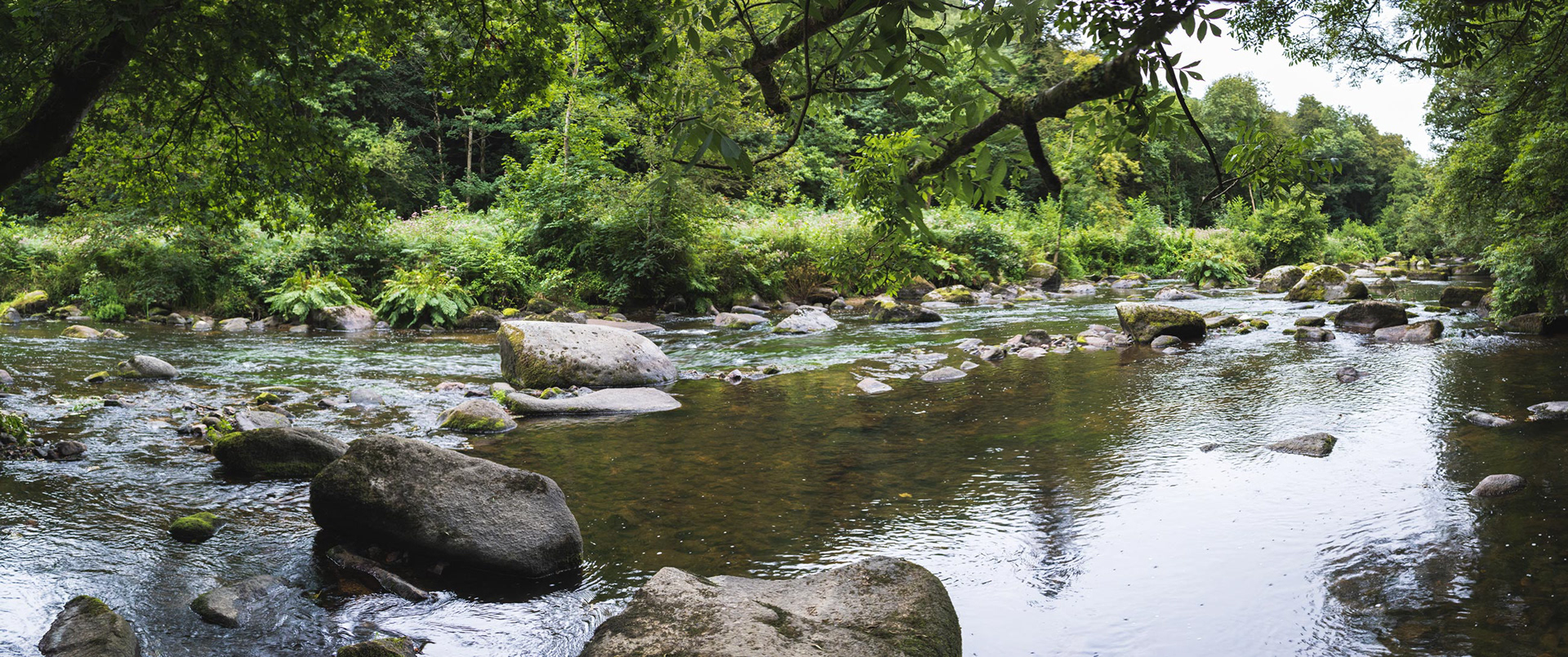 Reportage photo autour du léguer à Tonquédec et Tregrom