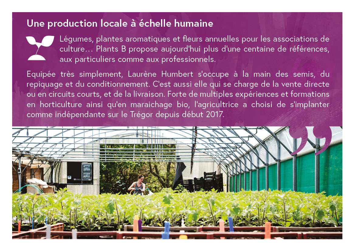 Mise en page Logotype Plan B / Photographie par La Lanterne