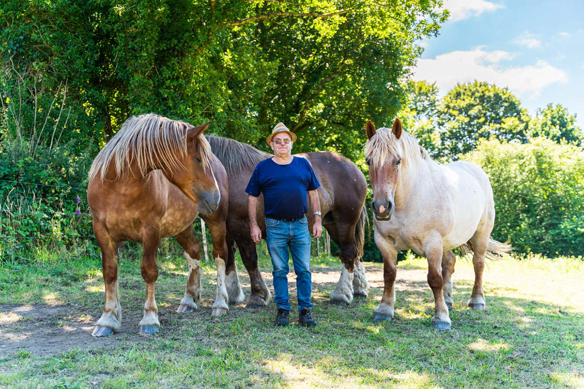 Chevaux Breton