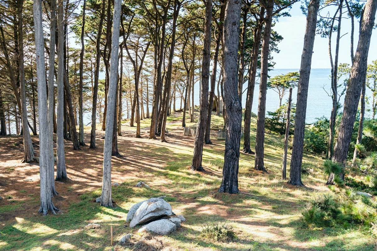 Pointe du Dourven