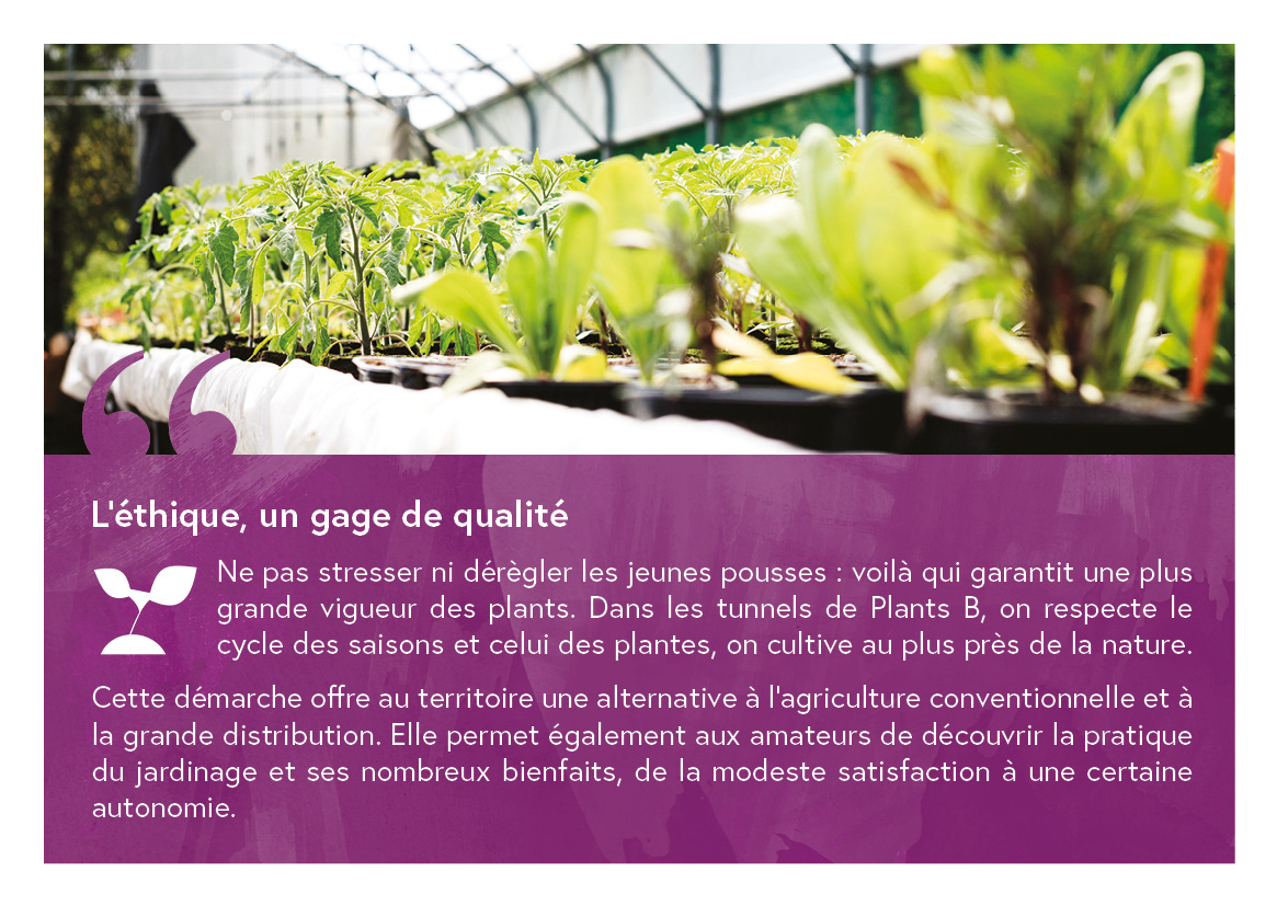 Mise en page Logotype Plan B / Photographie par La Lanterne