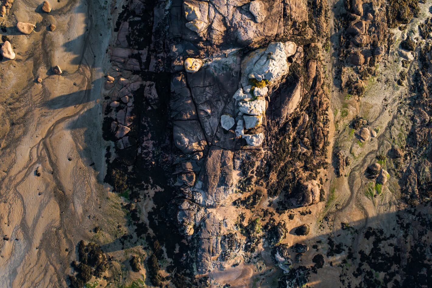 Drone, Côtes d'Armor