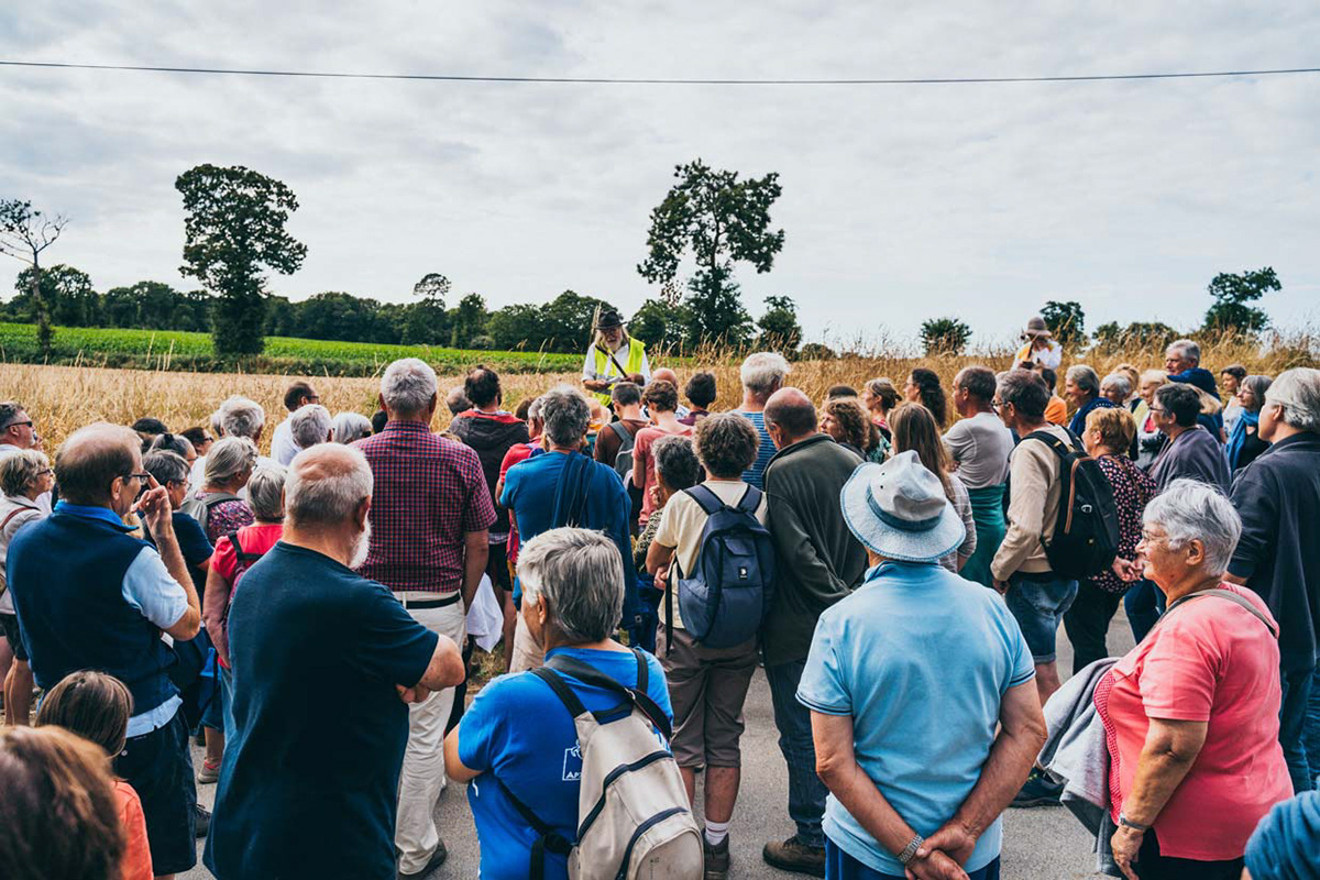 Léguer en fête, La Lanterne