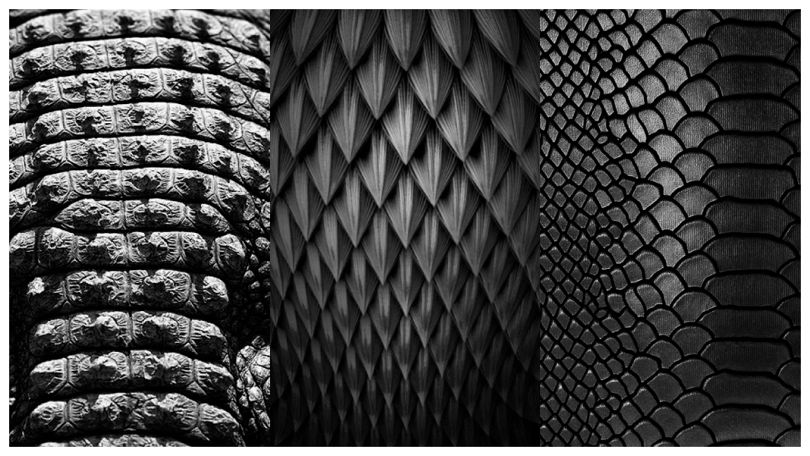 3 photos side by side of various reptile scale textures.