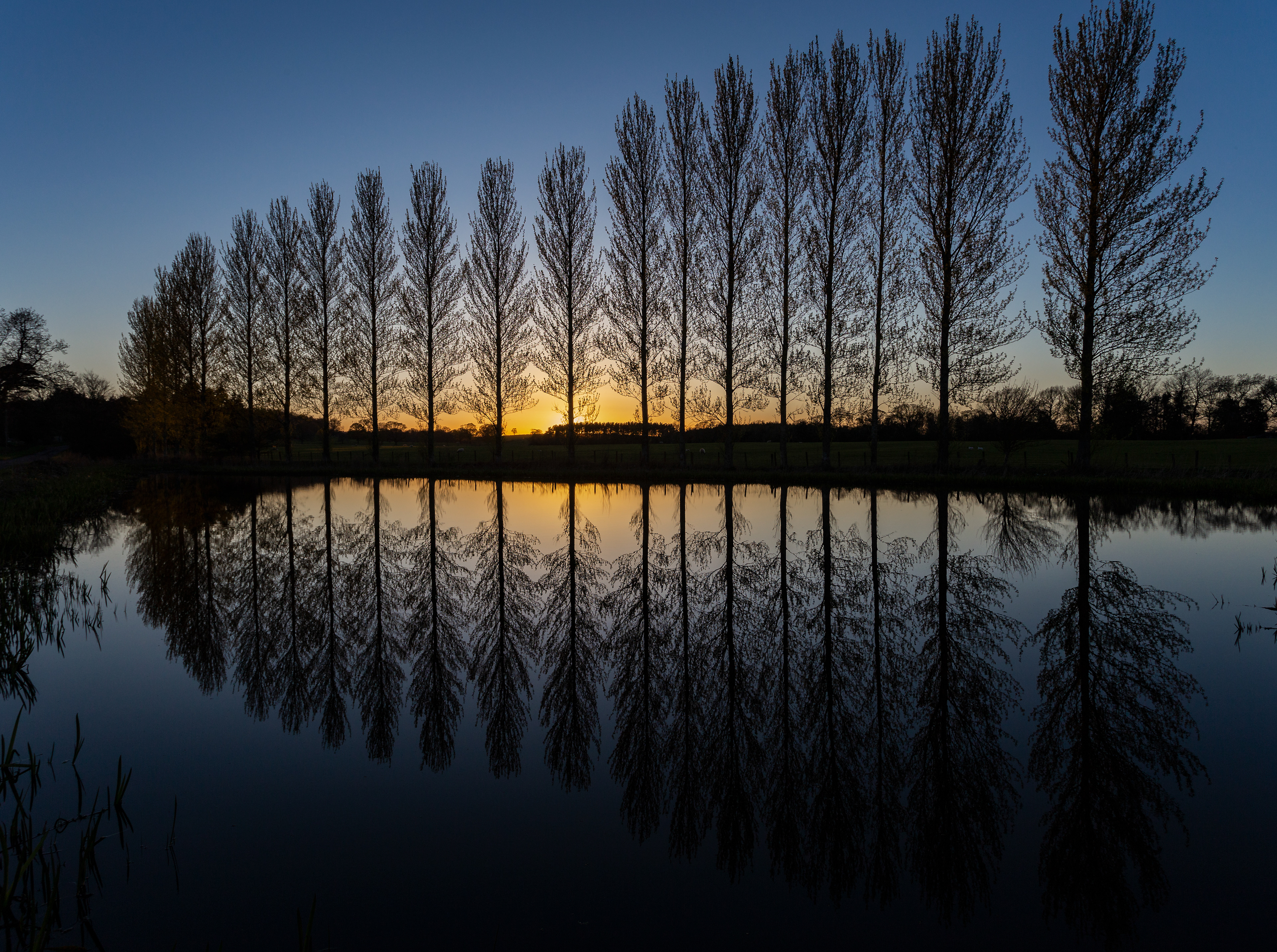 Belsay Pond, Northumberland