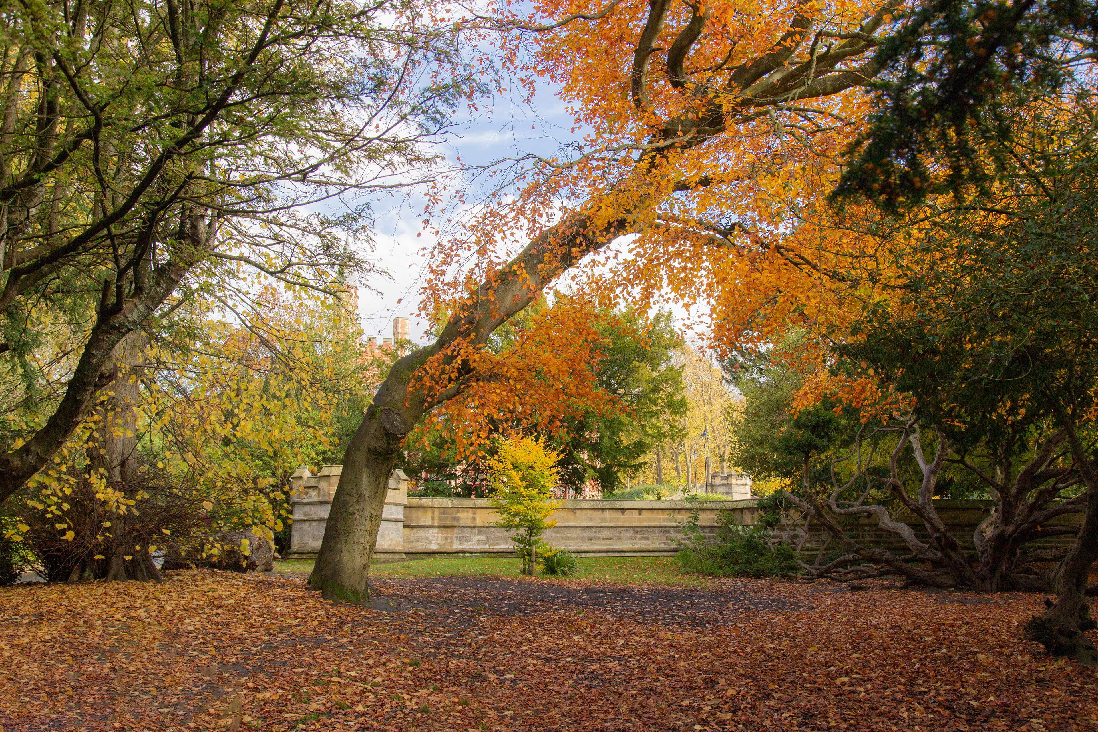 Saltwell Park, Gateshead