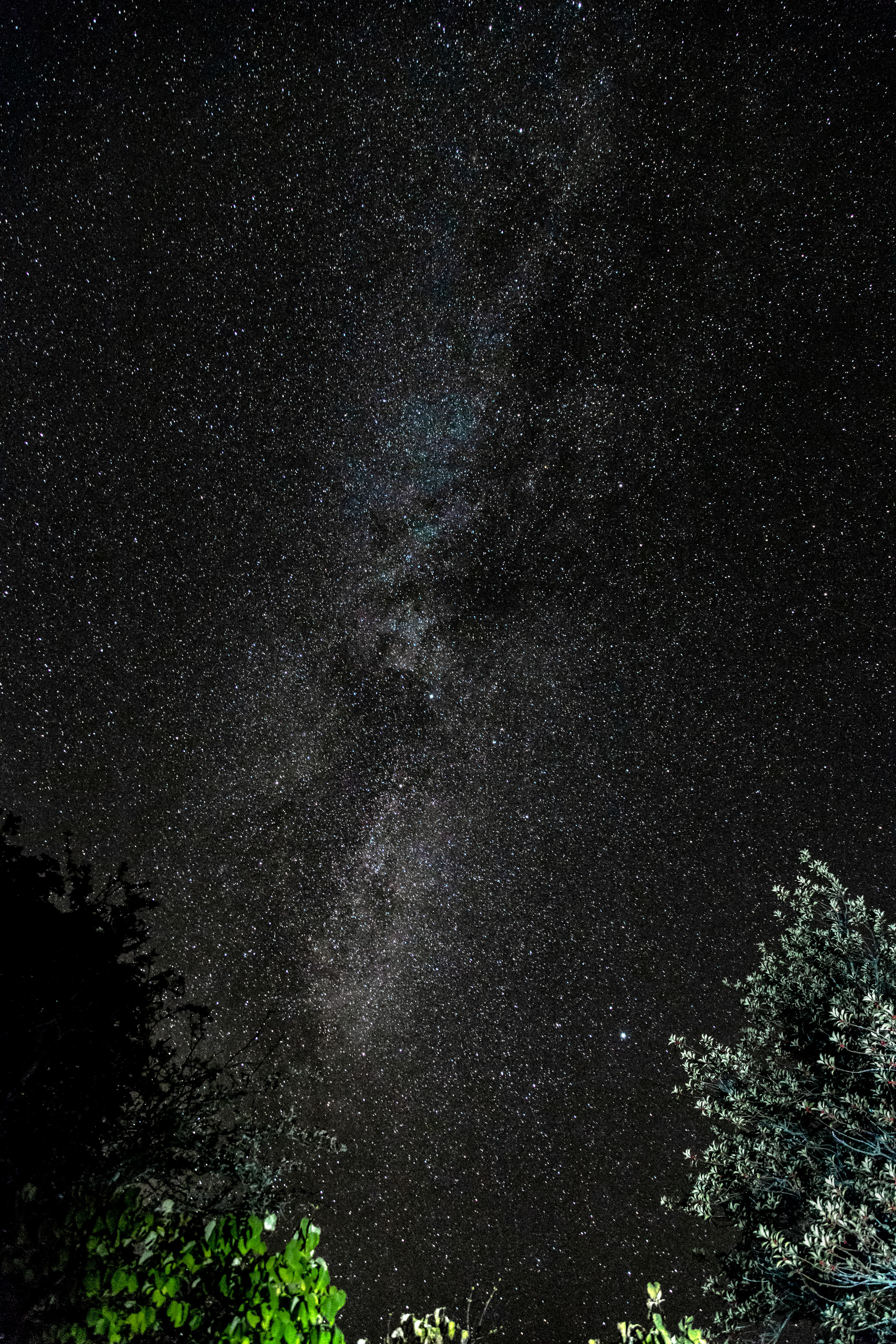 The milky way