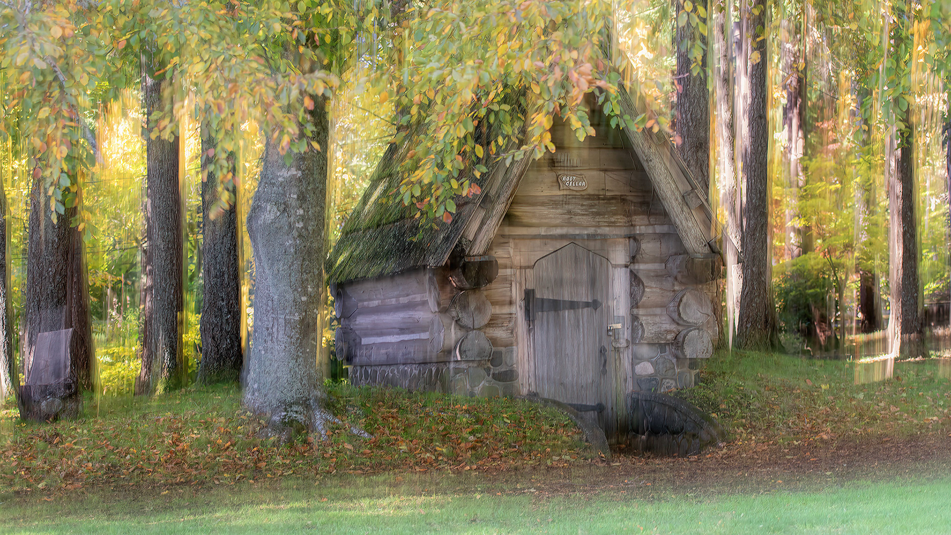 Filberg Park, Comox BC