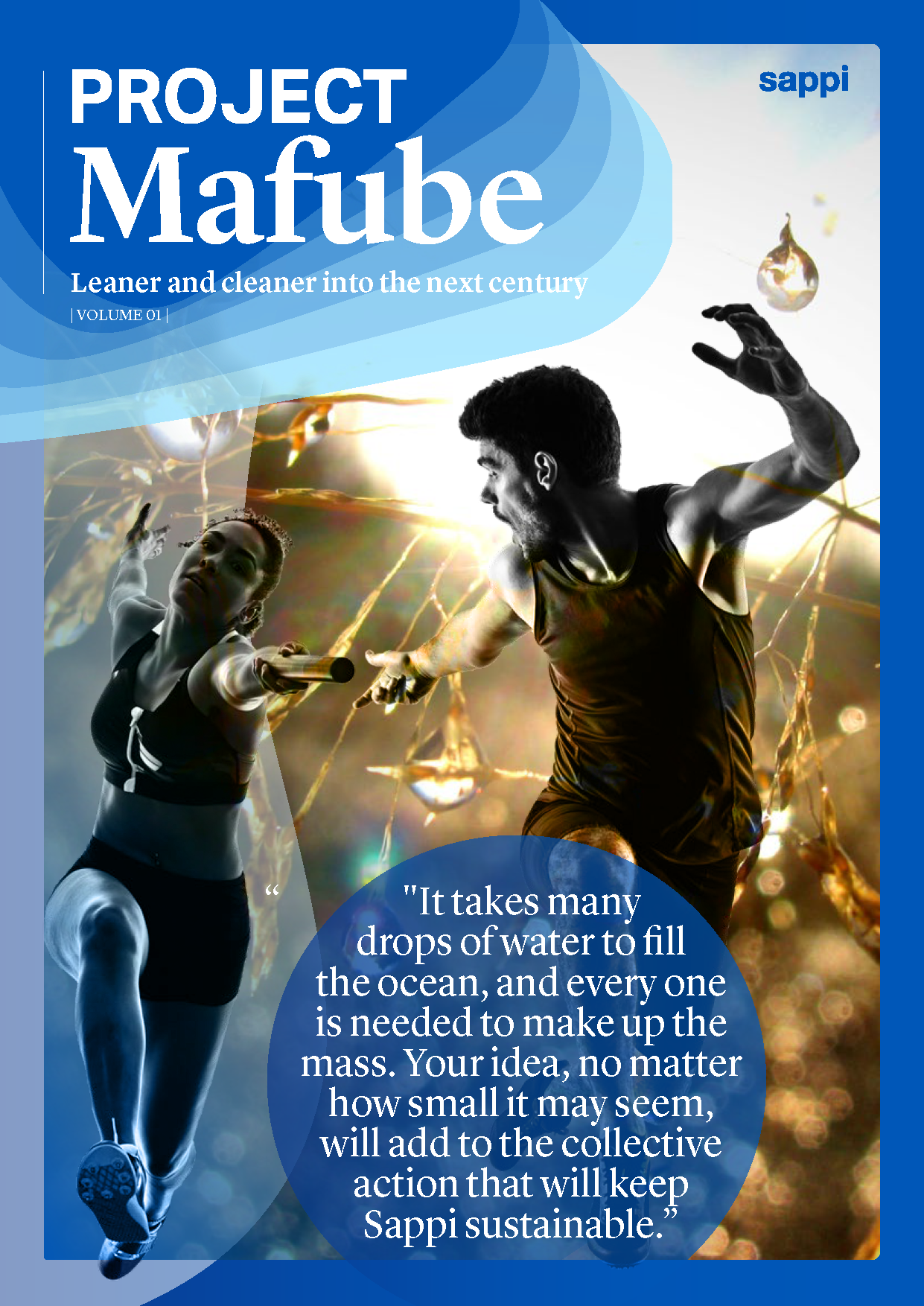 Project Mafube – Sappi SA Publication