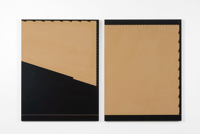 Plot Fill X & XI, 2009 Acrylic on board, 34 x 26 inches