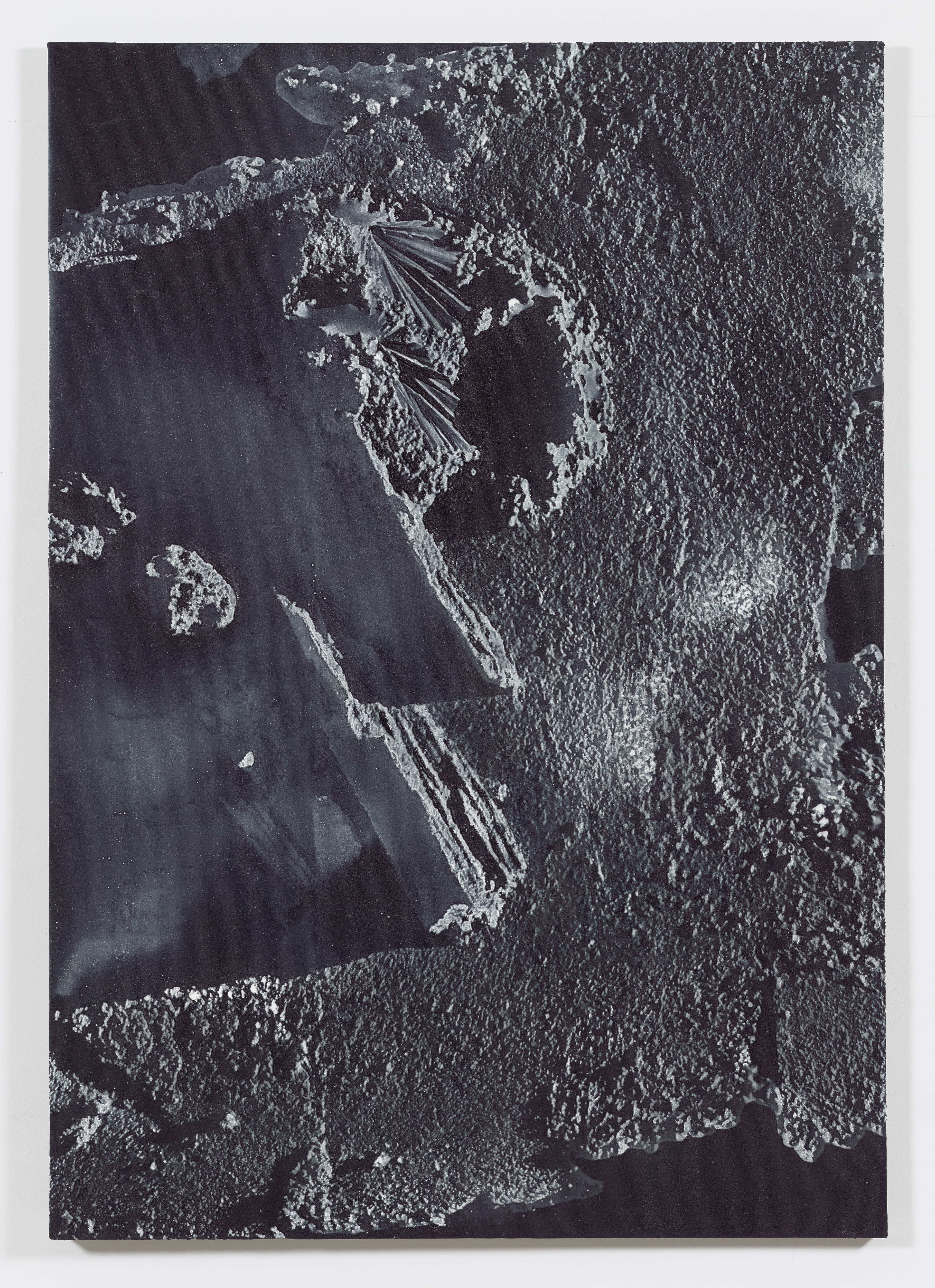 Anti-Scan, 2015, Pigment and Urethane Binder on Canvas, 80 x 56 inches
