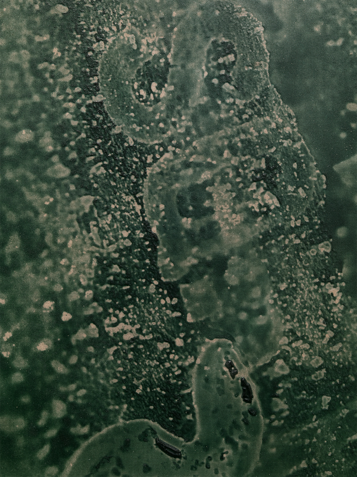 Cast (Object Model) 2013 PBK31 (perylene green-black) pigment and urethane paint on canvas 80 by 56 in. (DETAIL)