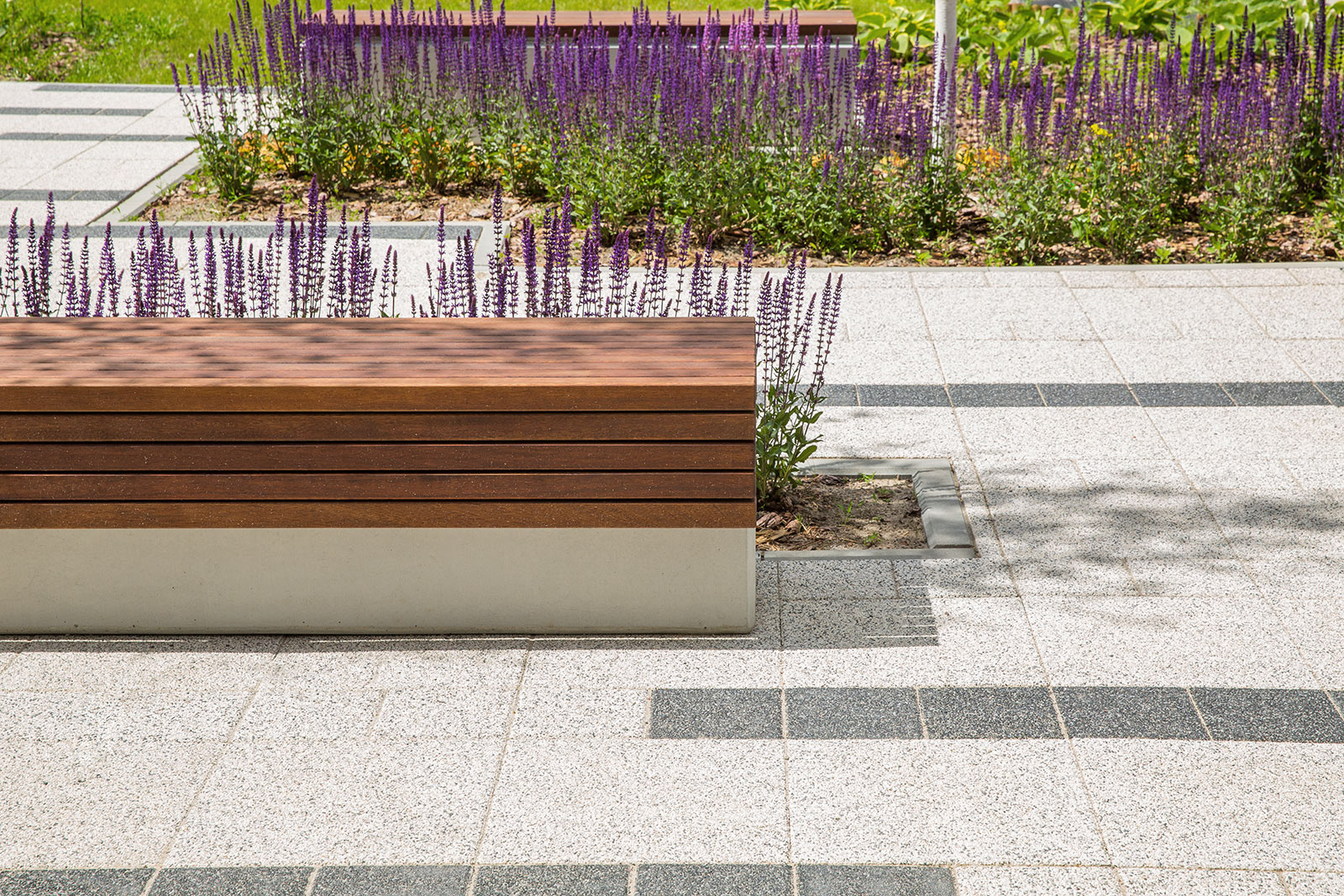 Kompleksowe sesje zdjęciowe trzech osiedli mieszkaniowych Alfa Park w Gdańsku wykonane dla dewelopera.