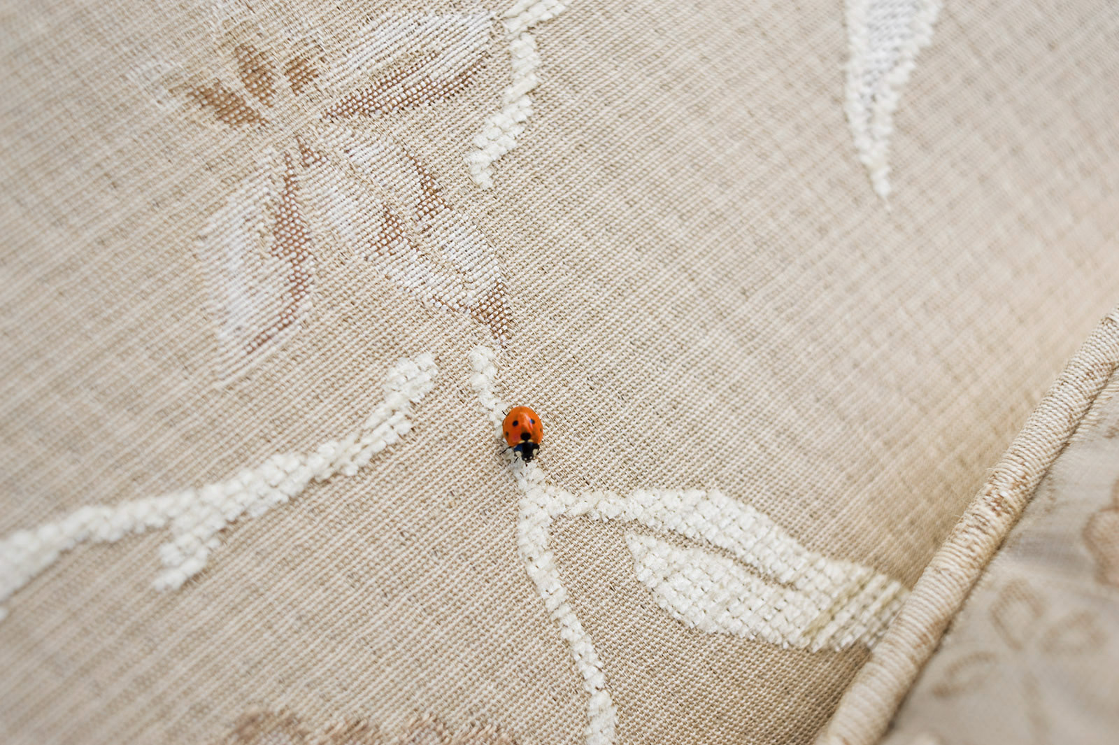 Sesje zdjęciowe dla producenta skandynawskich mebli. 