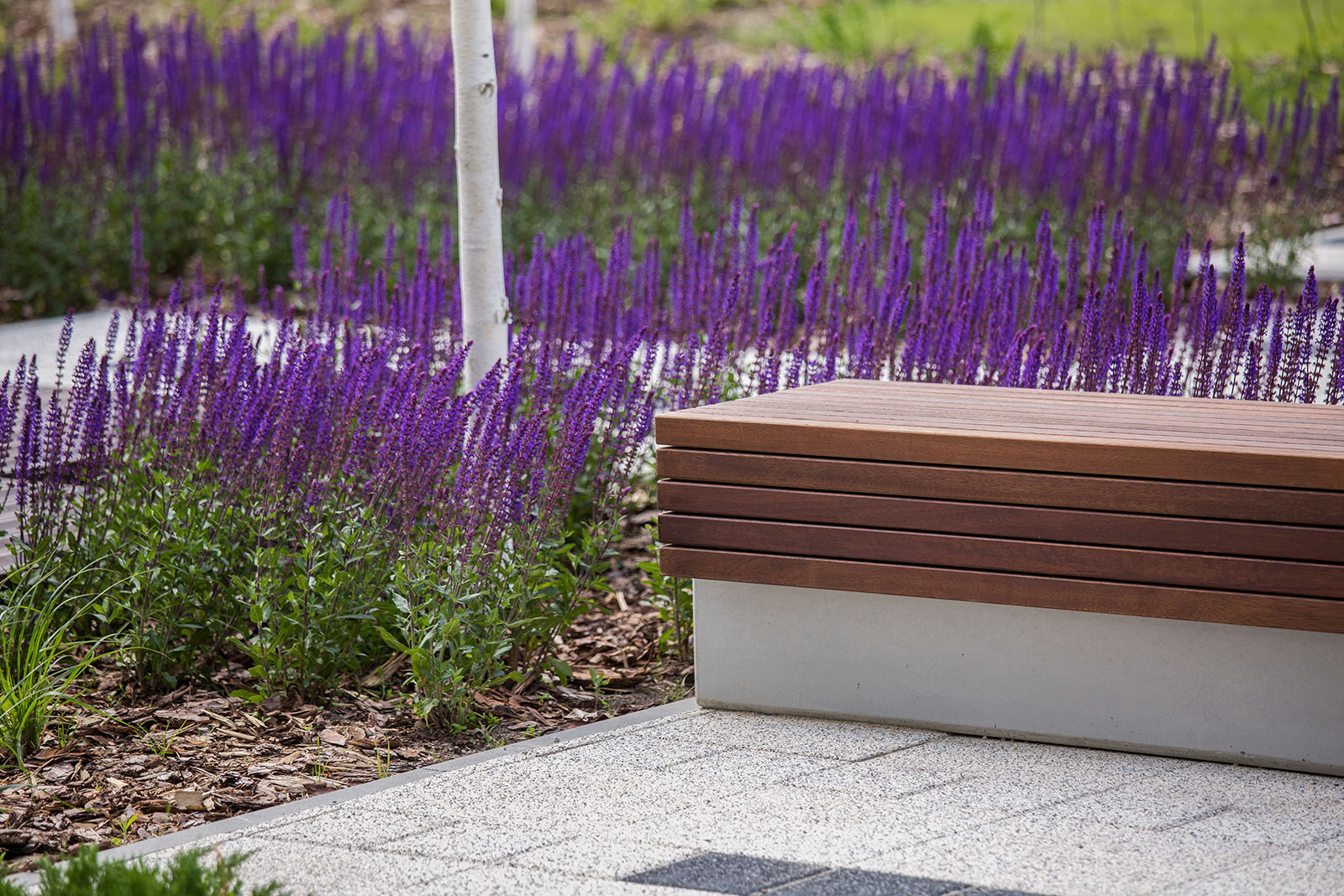 Kompleksowe sesje zdjęciowe trzech osiedli mieszkaniowych Alfa Park w Gdańsku wykonane dla dewelopera.