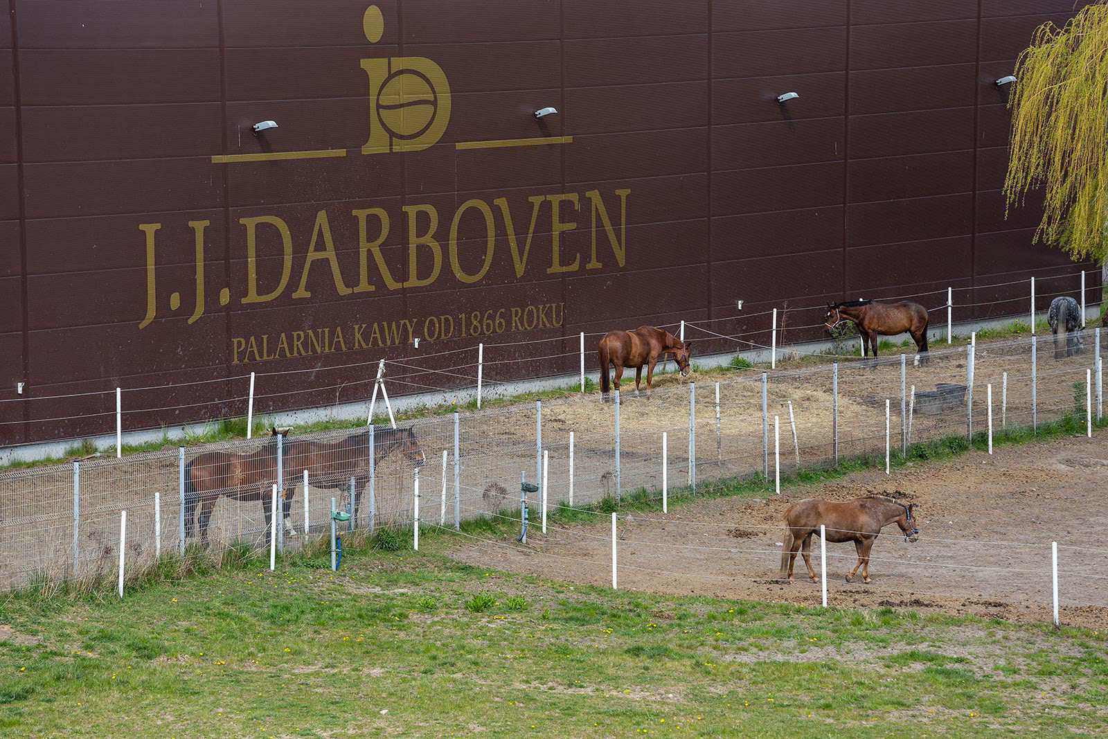 Fotografie wnętrz pomieszczeń komercyjnych hotelu Darboven zlokalizowanego koło Gdyni.  