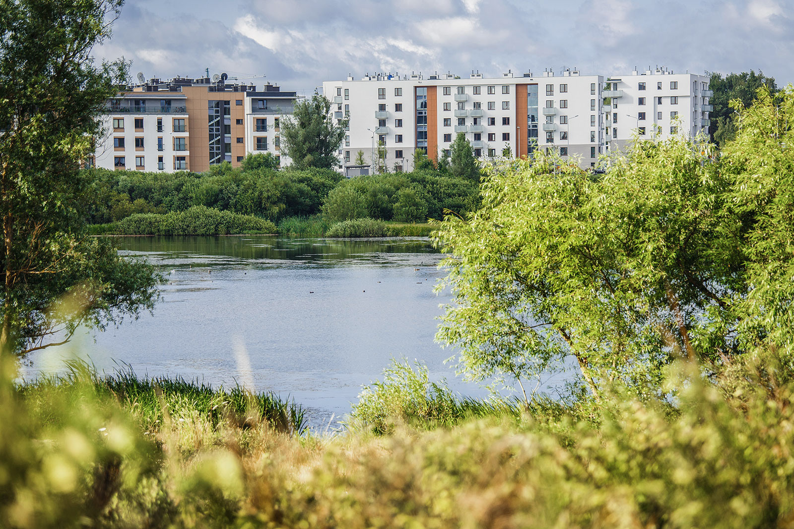 Kompleksowe sesje zdjęciowe trzech osiedli mieszkaniowych Alfa Park w Gdańsku wykonane dla dewelopera.