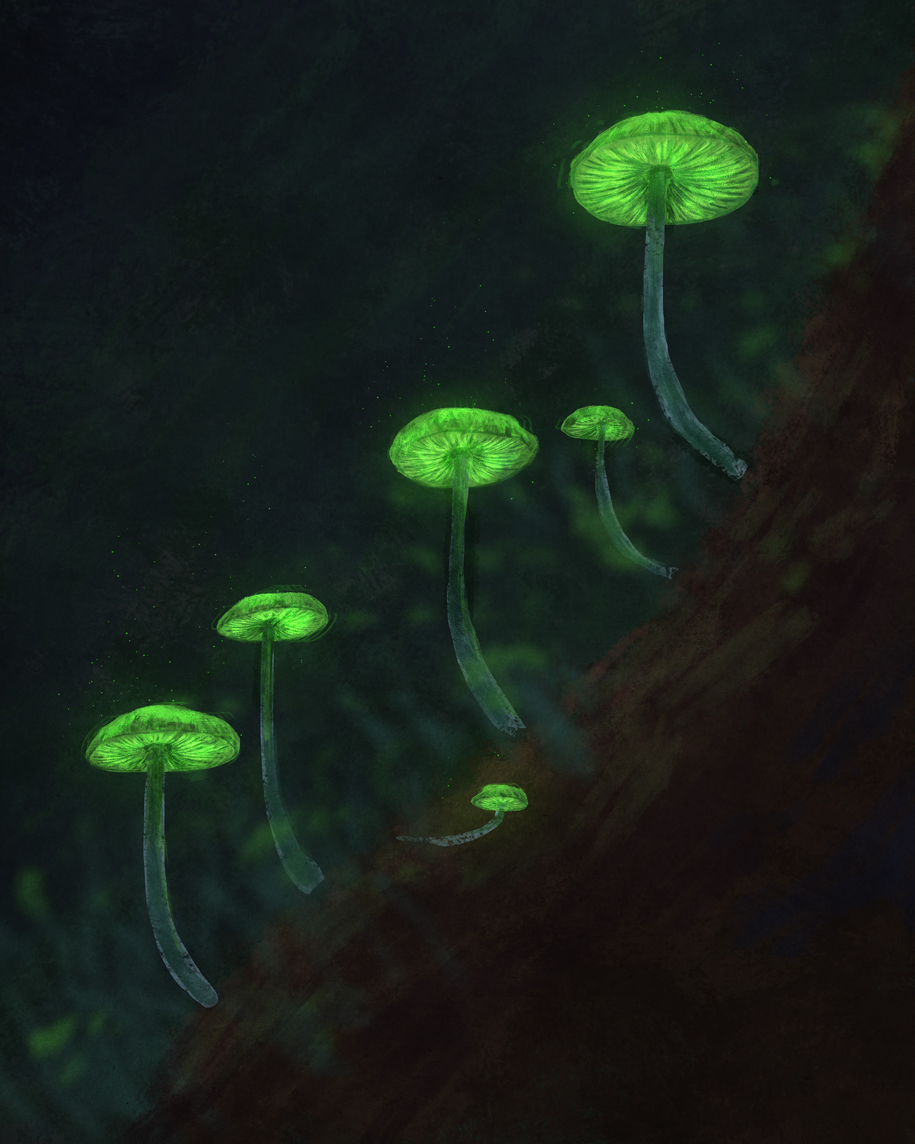 Mycena chlorophos