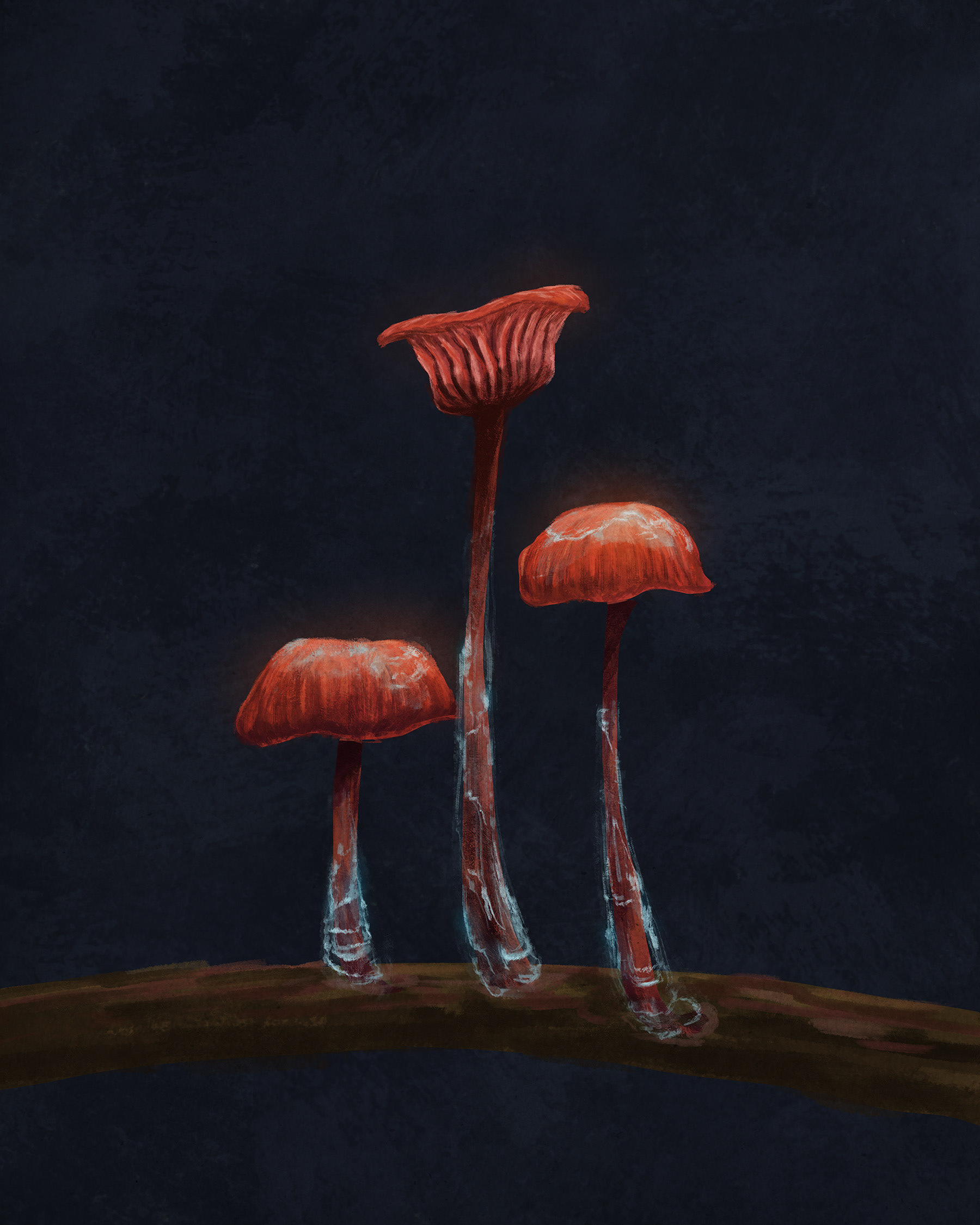 Cruentomycena viscidocruenta