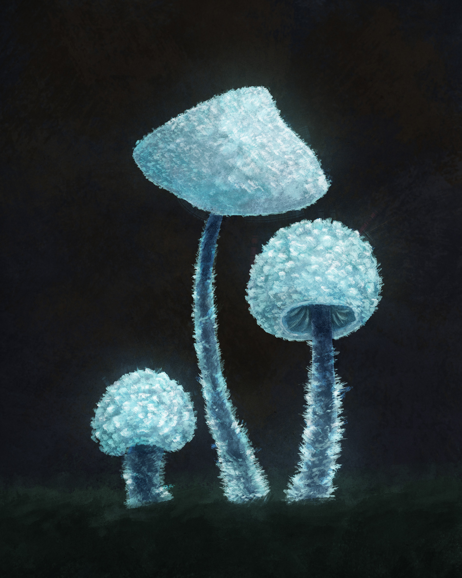 Mycena tenerrima