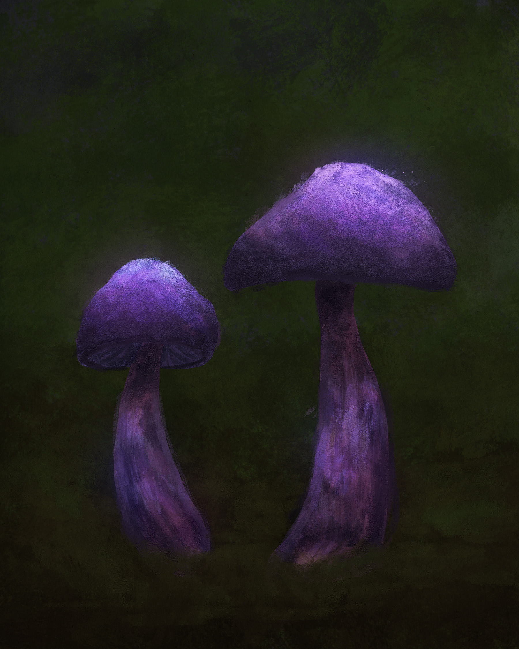 Cortinarius violaceus