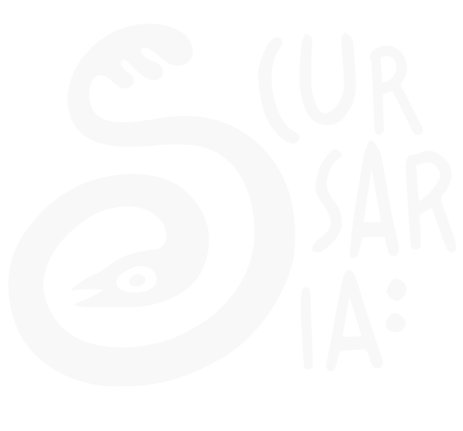 cursaria