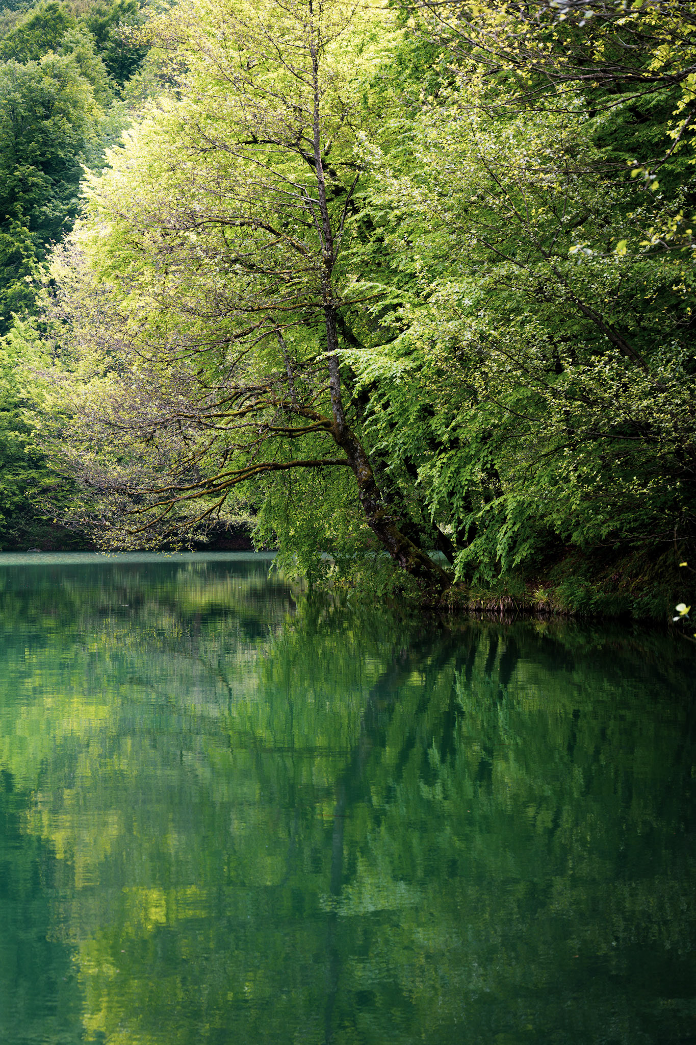 Yedigöller National Park