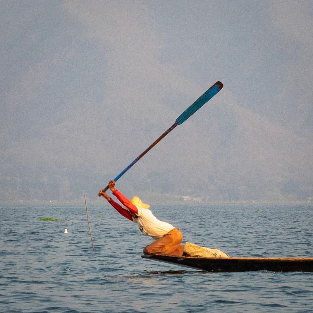 Hitting the water with their paddle to scare the fish away towards their net