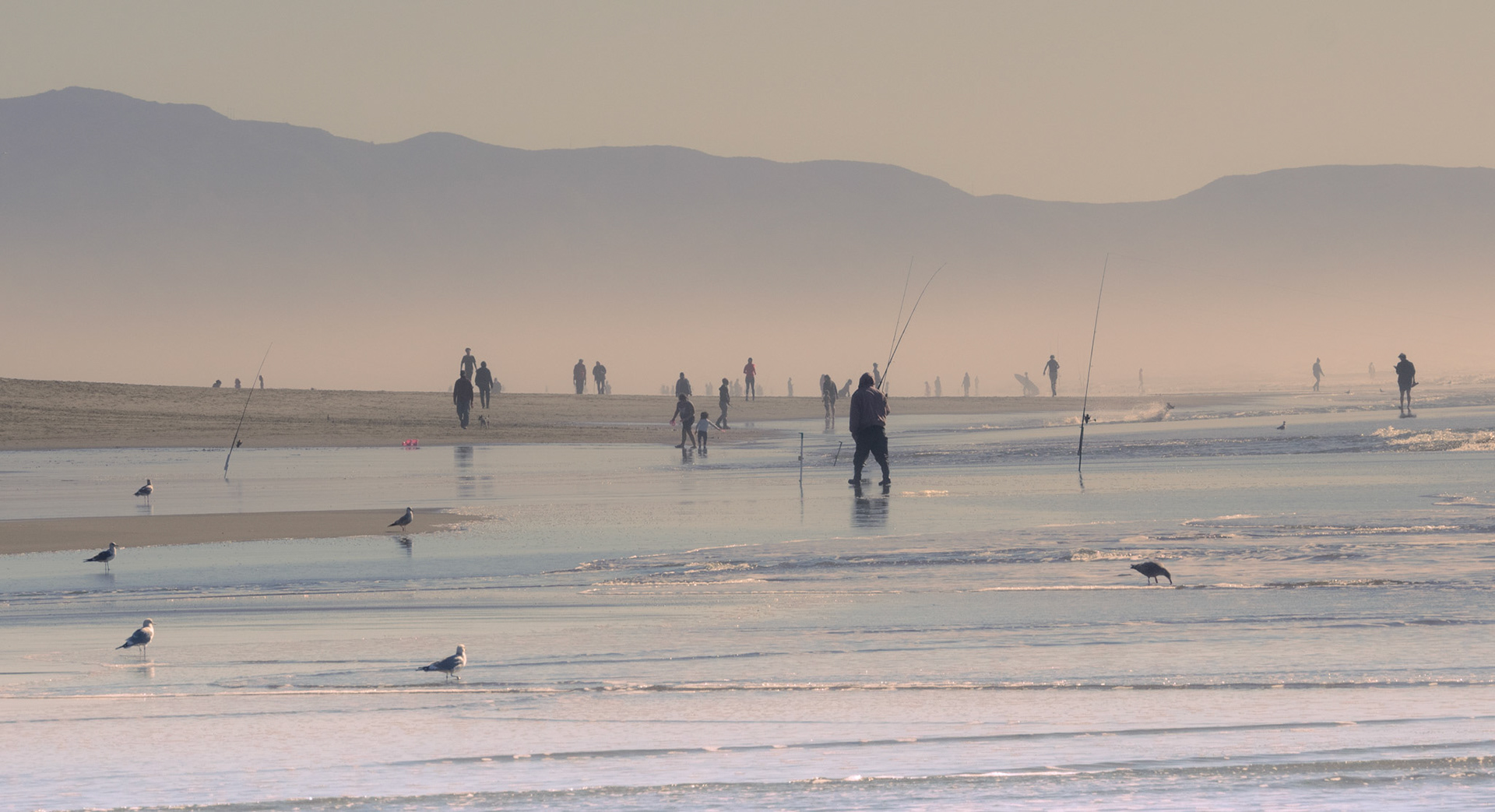 Silhouettes in the mist