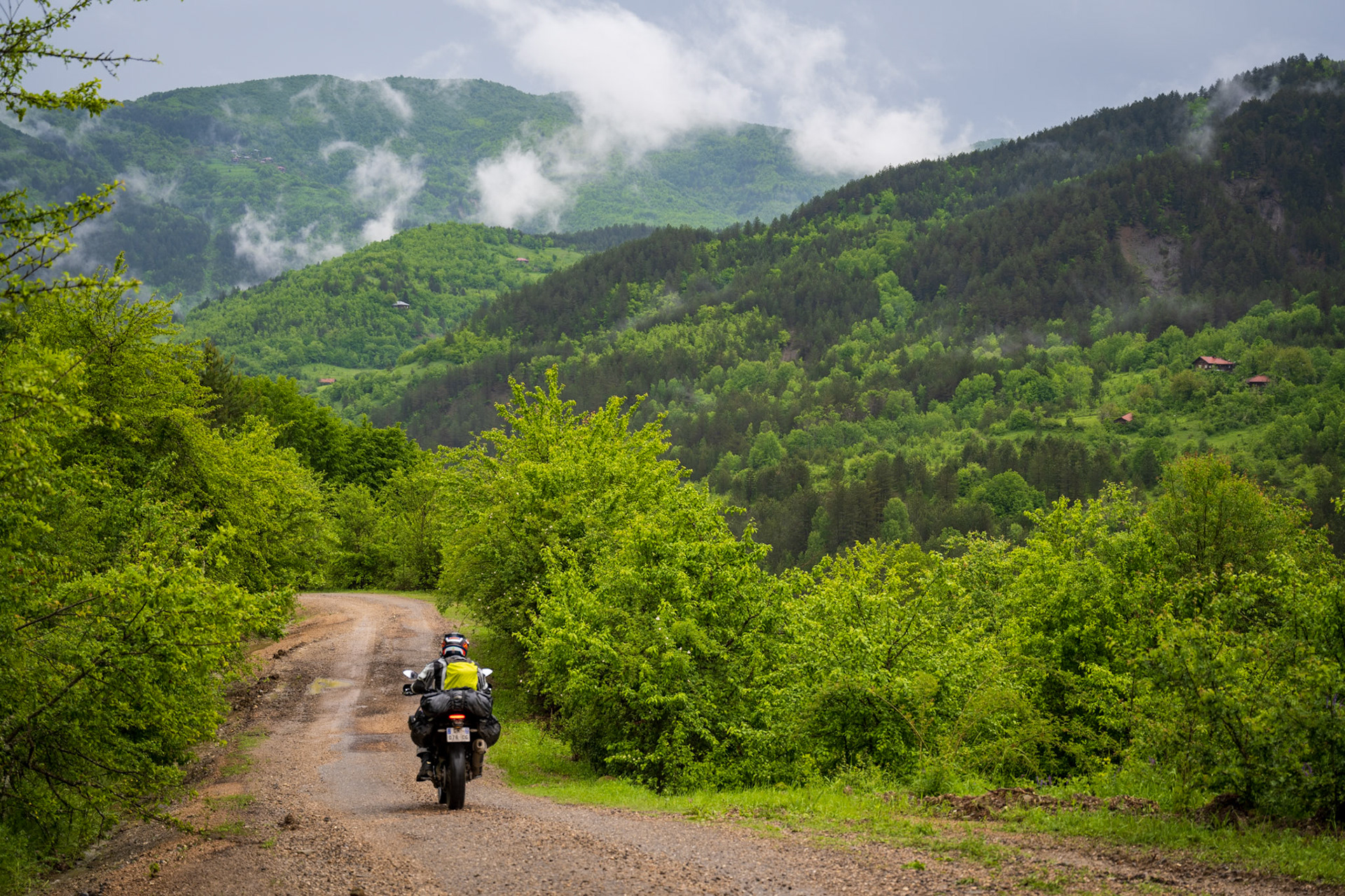 There is a very good reason to why it's so green 🙂