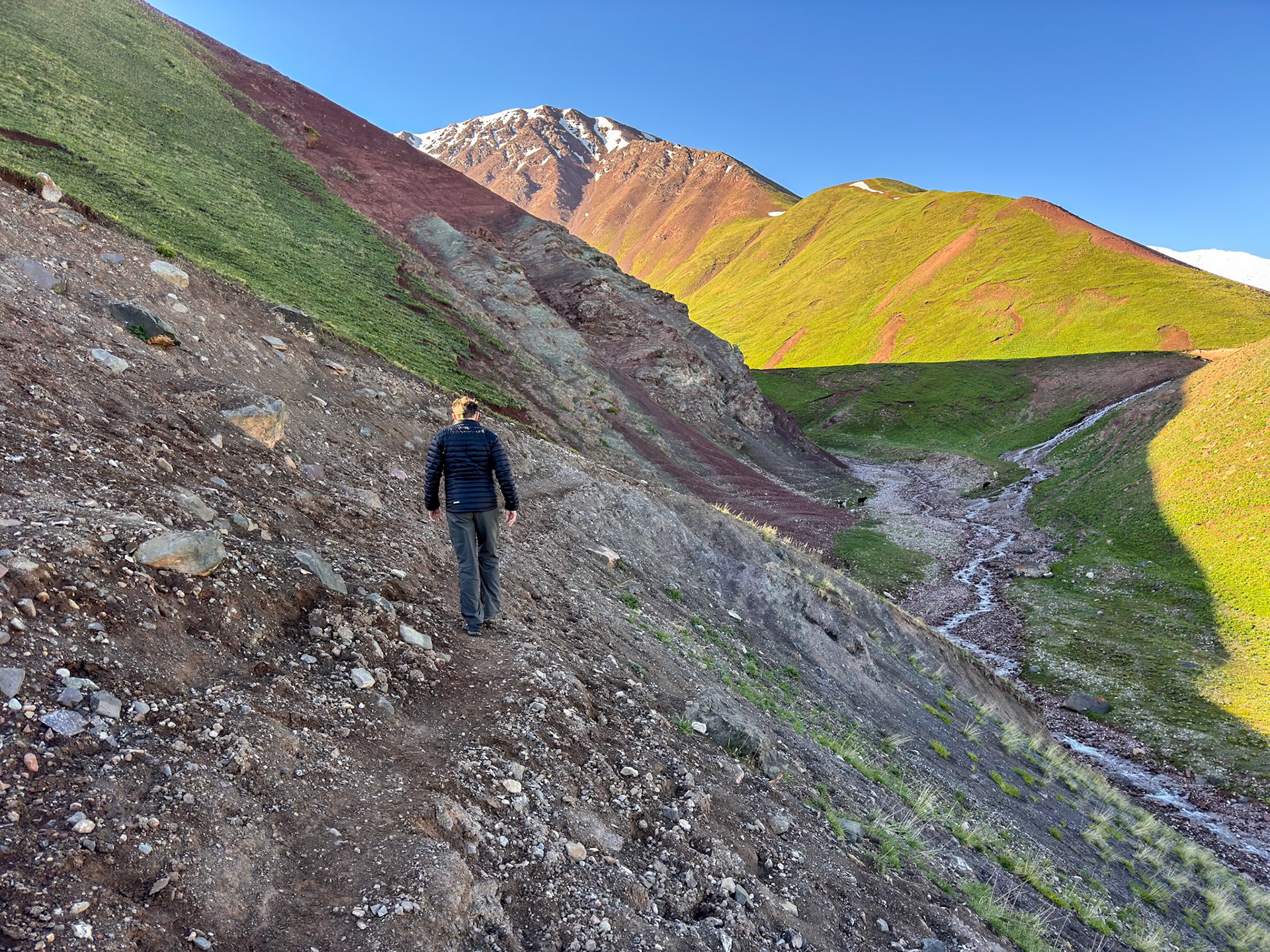 Following the cows' tracks